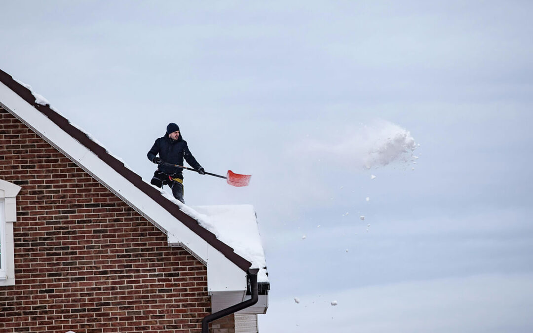 Winter Pest-Proofing: Is It Too Late to Start in December? (Spoiler: No!)