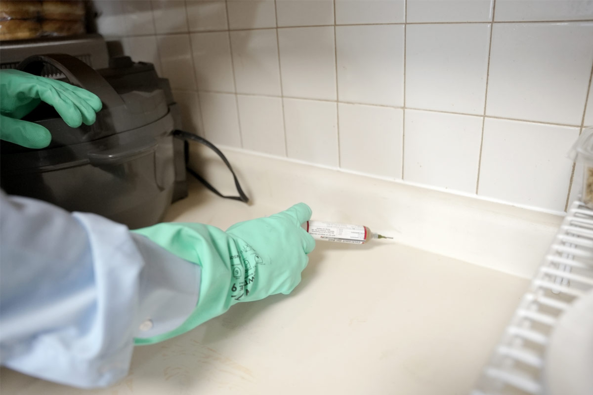 Effective-Strategies-to-Block-Pest-Highways