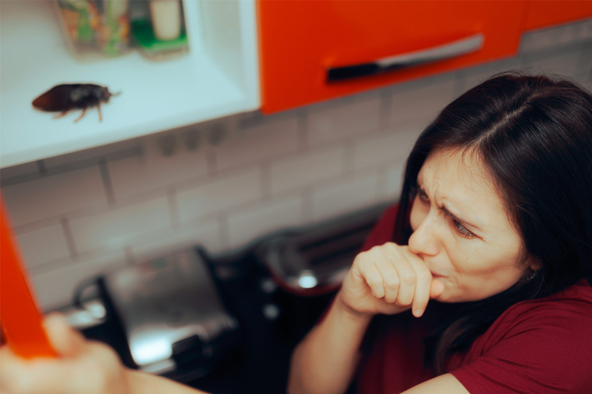 What-Are-Pest-“Highways-in-Your-Home